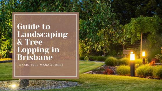 Tree Lopping and landscaping brisbane