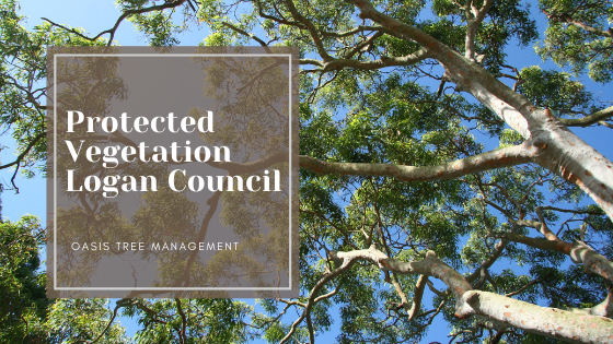 Protected Vegetation in Logan