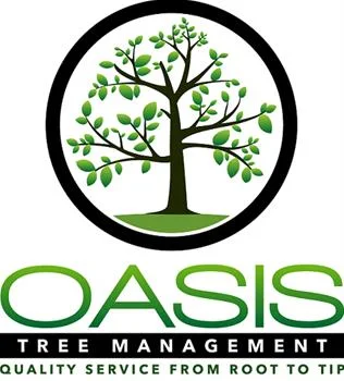 Tree Management Brisbane Southside